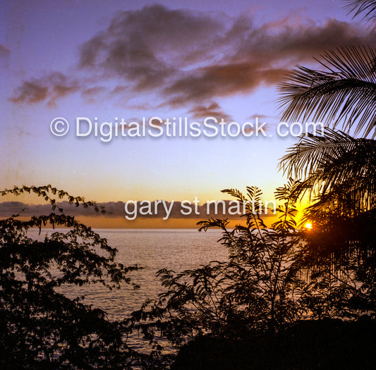 Peaceful beach view, Hawaii, analog sunsets