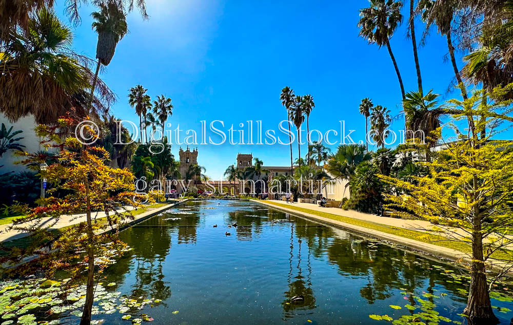 Reflecting Lake at Botanical Gardens, Balboa Park, digital