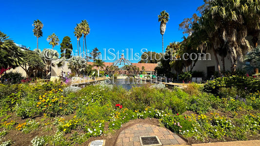 Botanical Gardens Brilliant Blue Sky, Balboa Park, digital