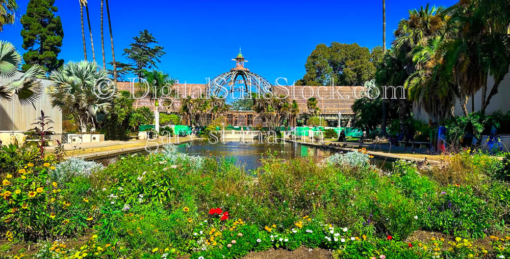 Botanical Gardens Green Elements, Balboa Park, digital