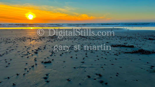 Beach littered with shells, digital sunset