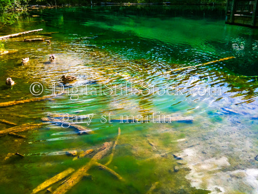 Ripples in the water from ducks swimming, Big Springs, digital Big Springs