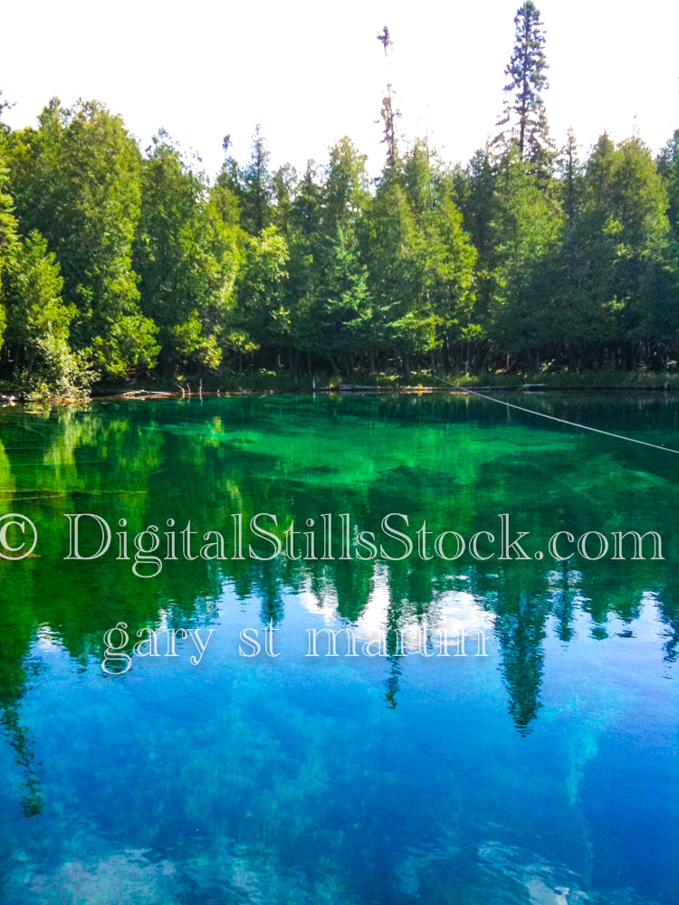 Green trees along the green shore, Big Springs, digital big springs