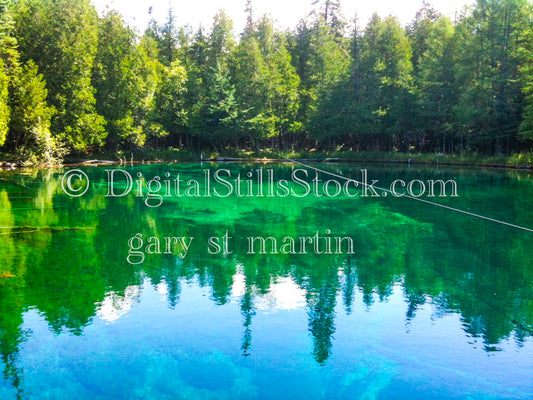 Trees mirroring in the calm water, Big Springs, digital big springs