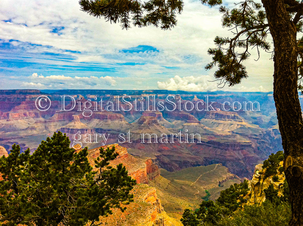 Grand Canyon, Vista from Tree, Foliage, Digital, Arizona, Grand Canyon