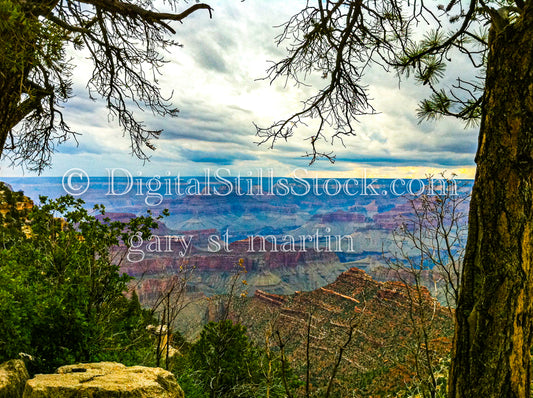 Wooded View, Digital, Arizona, Grand Canyon