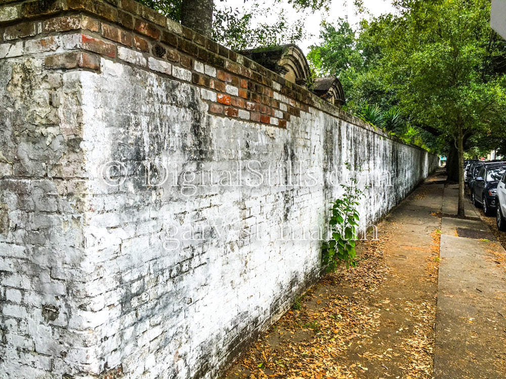 White Brick Sidewalk, New Orleans, Digital