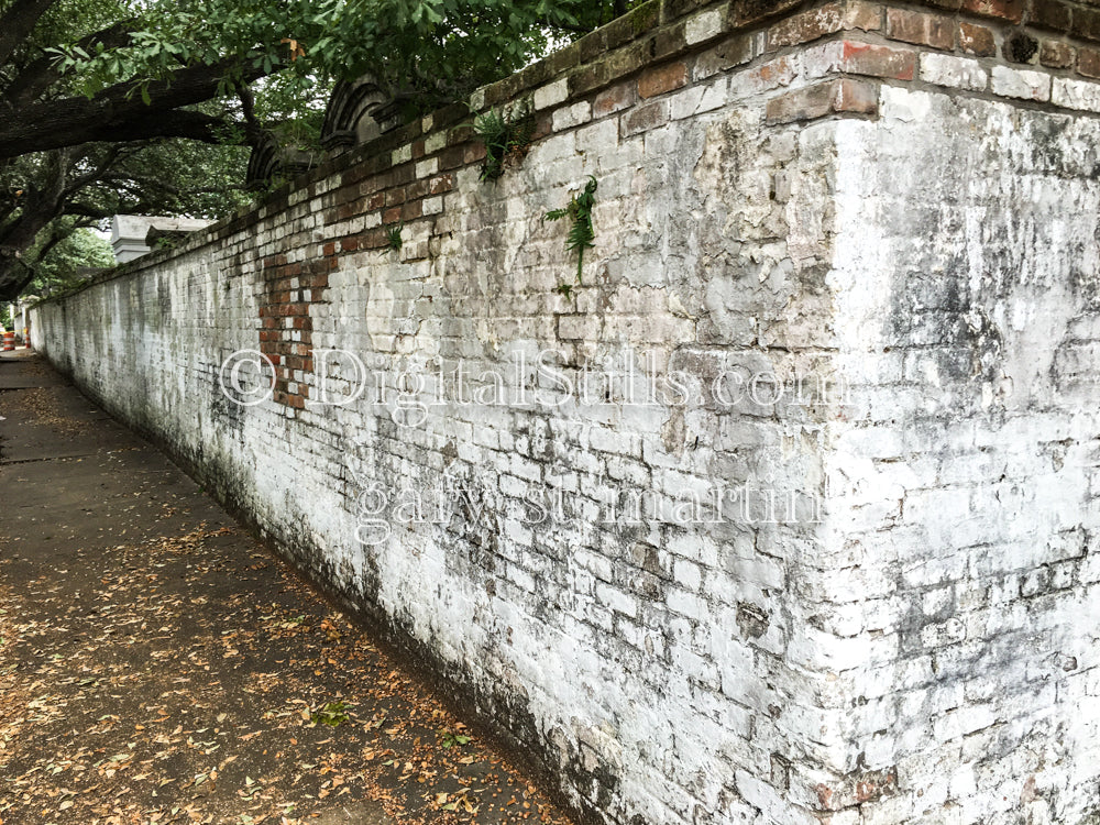 White Brick Wall, New Orleans, Digital