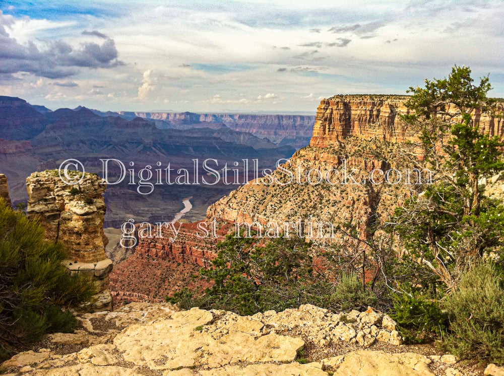 Foliage Front, Colorado River left center, Digital, Arizona, Grand Canyon