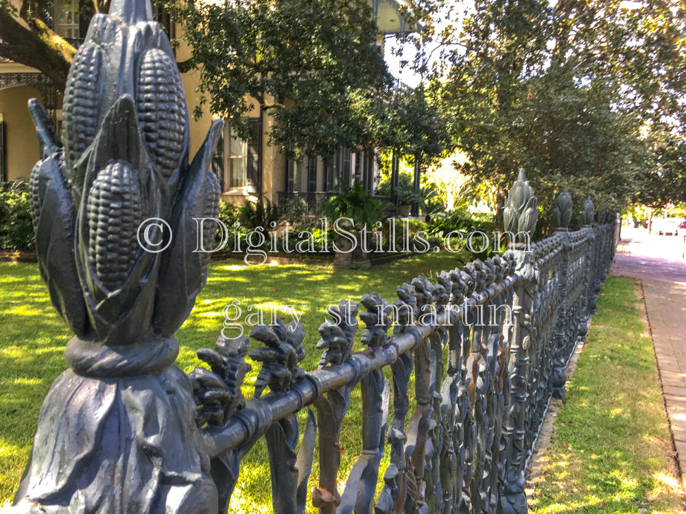 Ornamental Gate, New Orleans, Digital