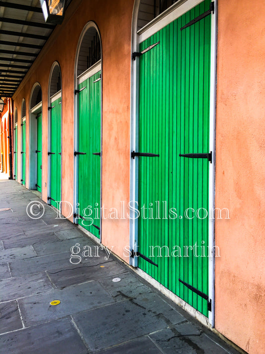 Green Doors, New Orleans, Digital