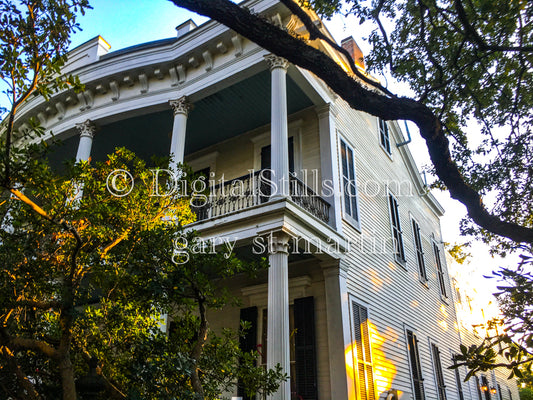 Townhouse in the Trees, New Orleans, Digital