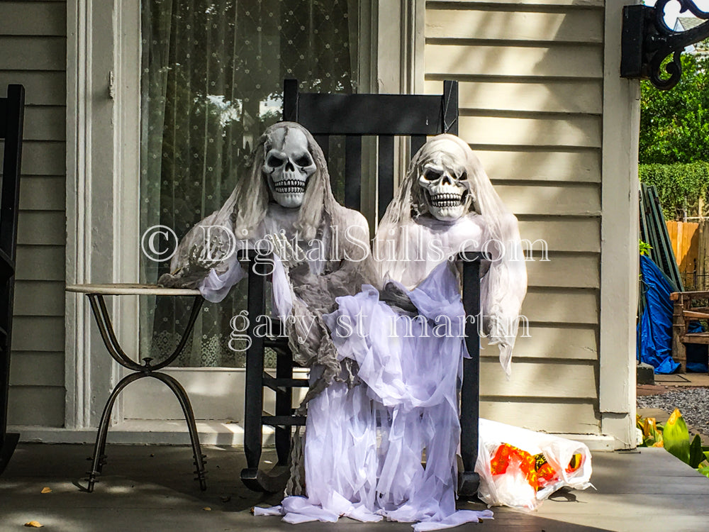Conjoined Skeletons on a Porch, New Orleans, Digital