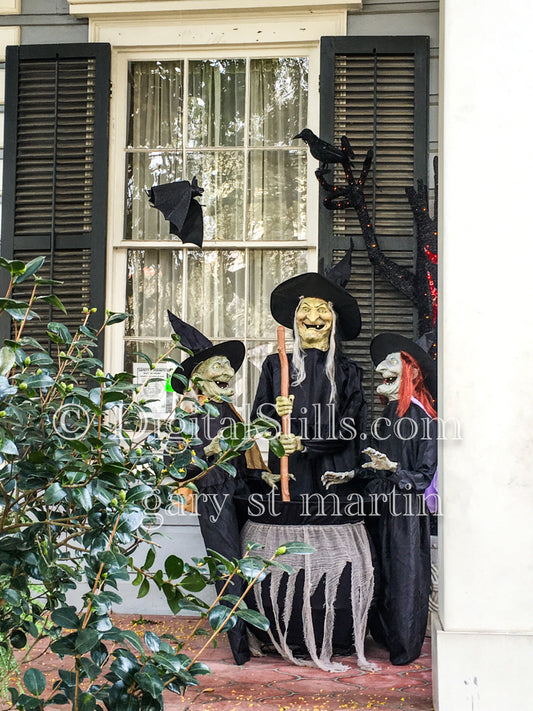 Hocus Pocus, New Orleans, Digital