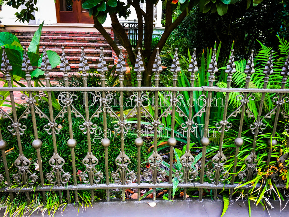 Ornate Fence and Garden, New Orleans, Digital