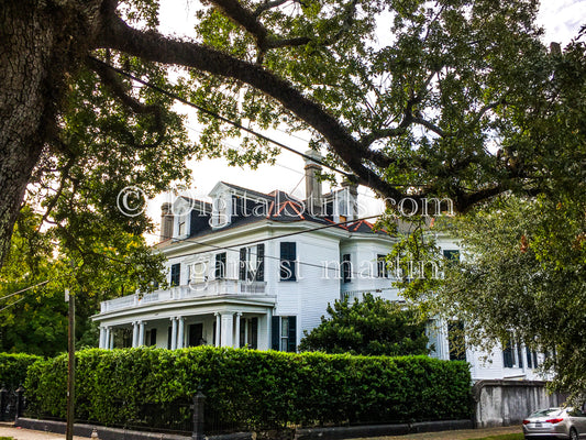 White Corner Home, New Orleans, Digital