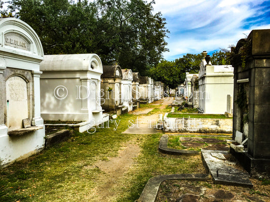 Cemetery Walkway, New Orleans, Digital