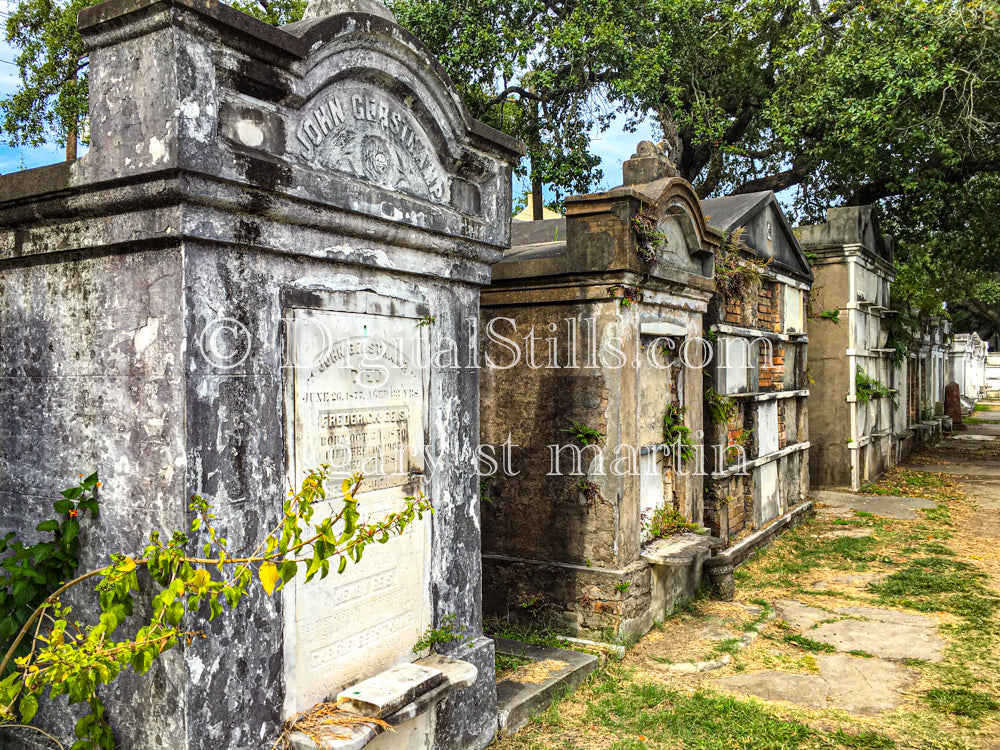 Mausoleums Etc., New Orleans, Digital