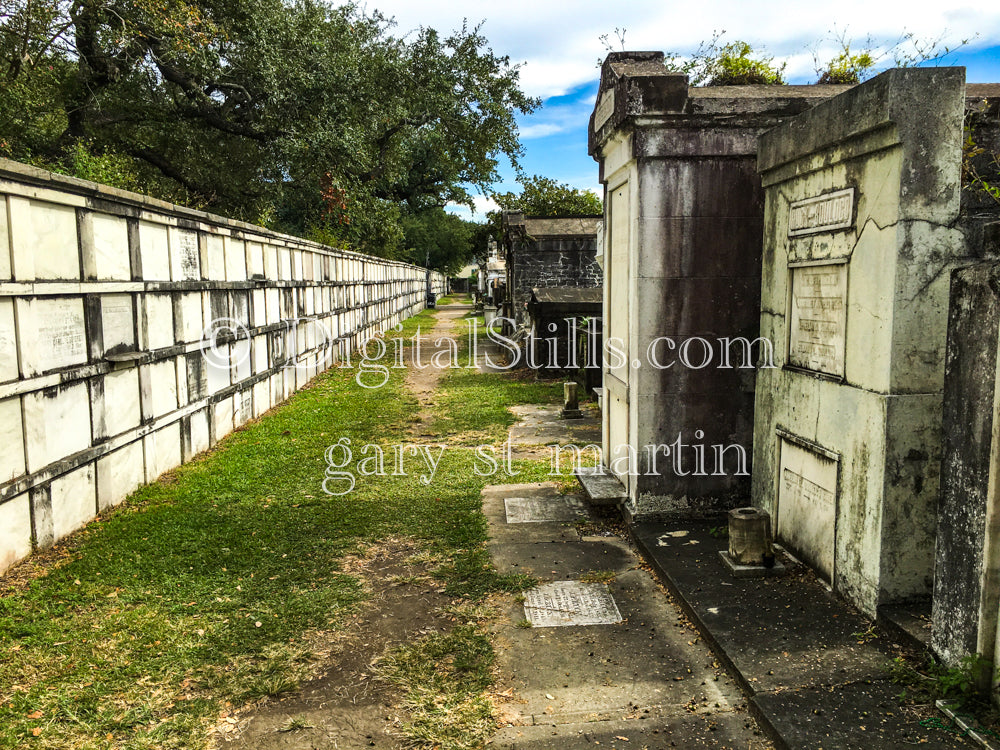 Cemetery Grassy Walkway, New Orleans, Digital