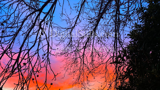 Bright blue and pink sunset, digital sunset