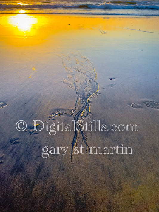 Sandswept Beauty, digital sunset