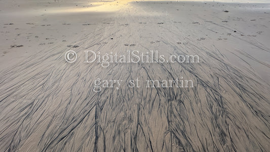 Sands Along the Shore, digital sunset