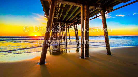 The Underbelly of the Imperial Beach Pier, digital Imperial beach Pier