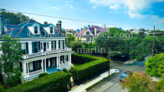 Hedge Framed House 2, New Orleans, Digital