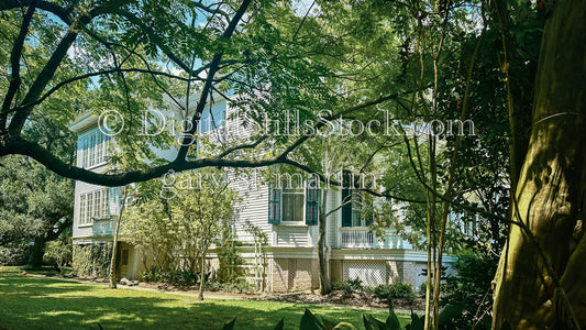 Mansion from behind tree, New Orleans, Digital