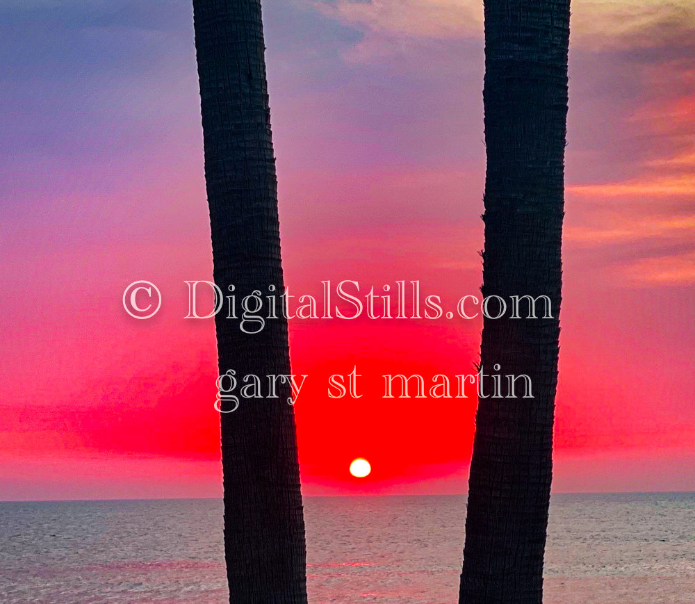 A pink sun setting between two trees, digital sunset