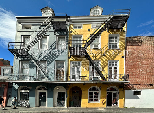 Historical Homes with Brick Adjacent, New Orleans, Digital