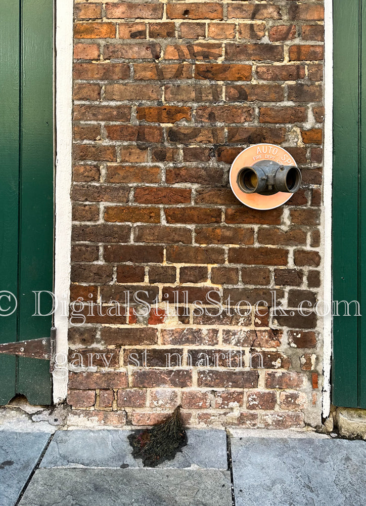 Fire Faucet against Brick, New Orleans, Digital