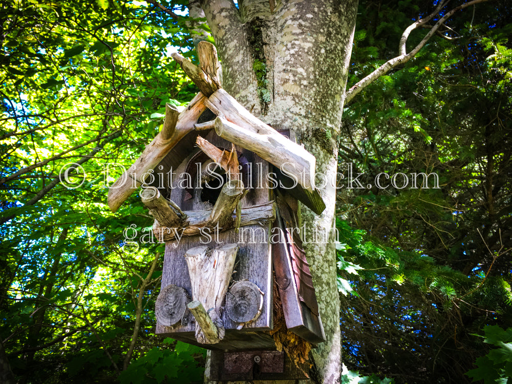 Wooden Birdhouse up close, digital Grand Marais