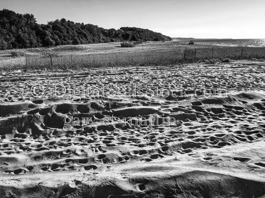 A Fence in the Sand in Black and White, digital Grand Marais