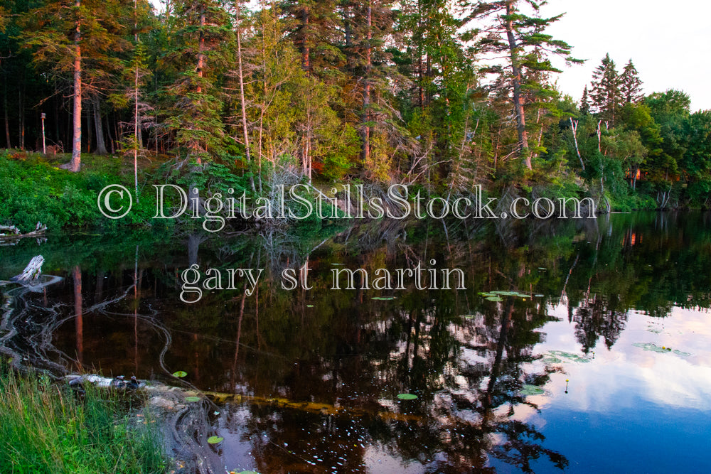 Trees reflecting in the calm water, digital Grand Marais