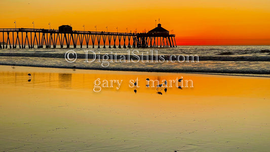 Reflections of Birds on the Sand - Imperial Beach Pier, digital Imperial Beach Pier