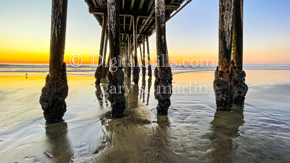 Pier Legs - Imperial Beach Pier, digital Imperial Beach pier