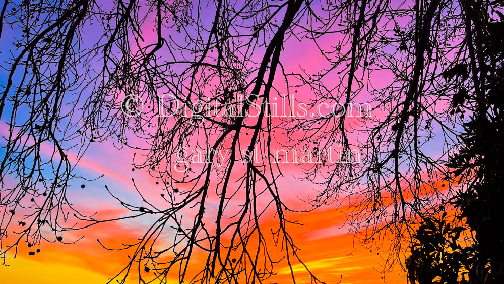 Vibrant sunset, digital sunet