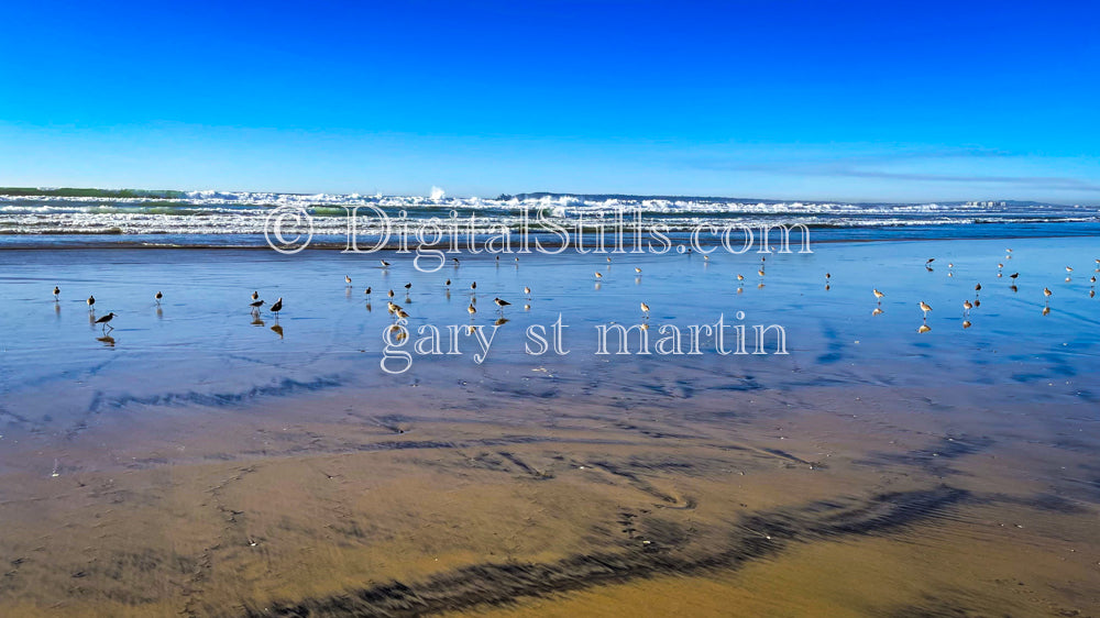 Flock of birds on the beach, digital sunset