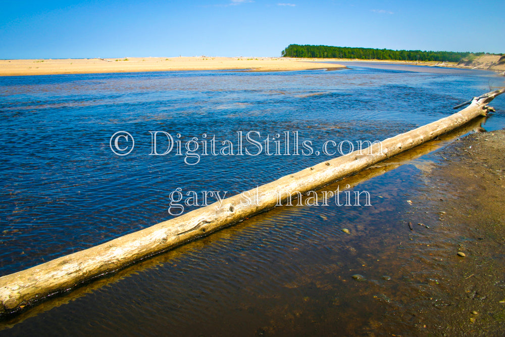 Big log washed up on the shore, digital Grand Marais