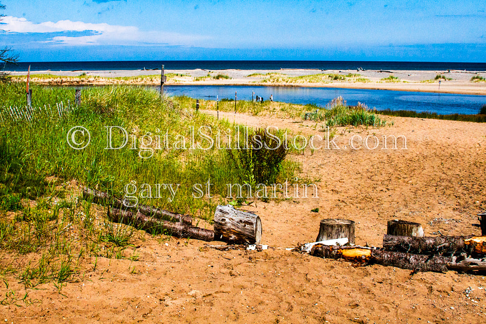 Tree Stumps on the Sand, digital Grand Marais