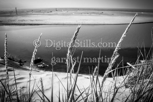 Up close with Dune Grass in black and white, digital Grand Marais