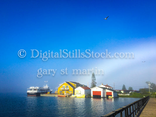 Birds flying over the harbor, digital copper harbor