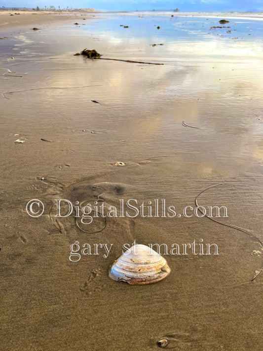 Shell on the shiny sand, digital sunset