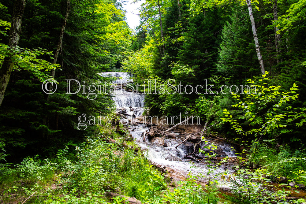 Sable Falls in the Luscious Forest, digital Grand Marais