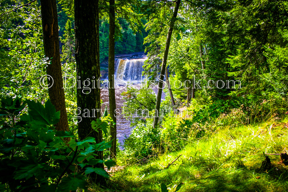 Looking at Tahquamenon falls through the forest, digital Tahquamenon falls