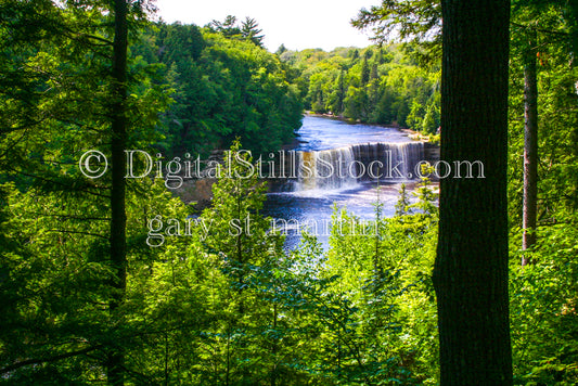 Bright green forest surrounding the Tahquamenon Falls, digital Tahquamenon