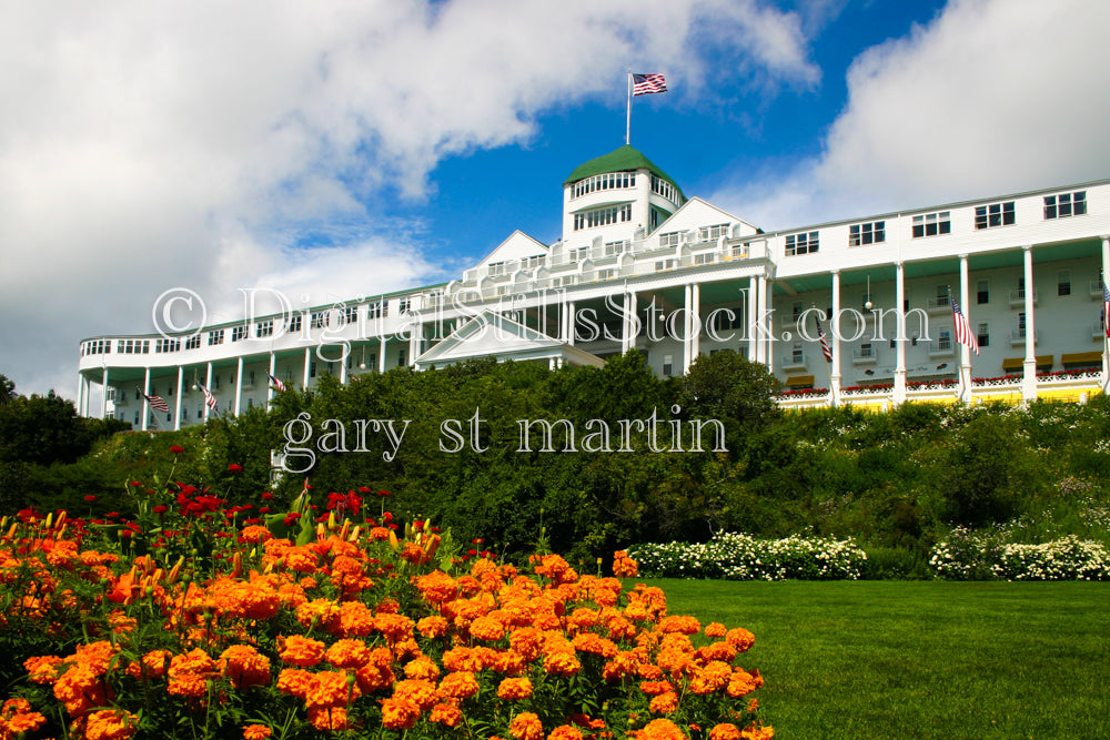 Bush of Marigolds in front of the Grand Hotel, digital Mackinac Island