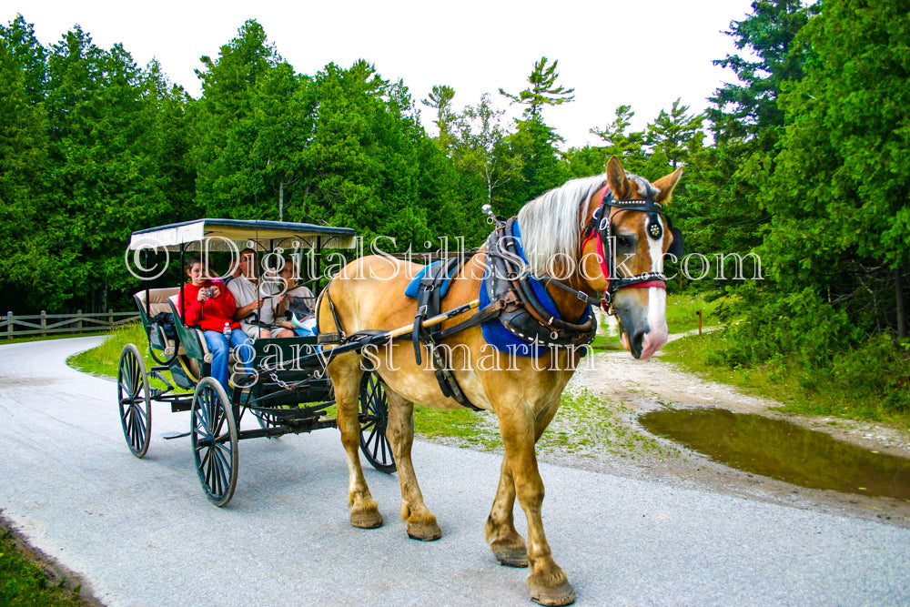 Horse-drawn Carriage, digital Grand Island