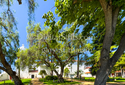 Trees In Mission San Luis Rey